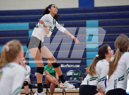 Thumbnail 1 in Tampa Catholic @ Berkeley Prep photogallery.