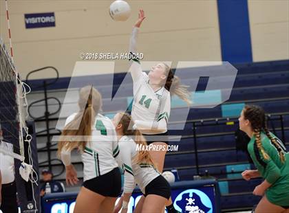 Thumbnail 3 in Tampa Catholic @ Berkeley Prep photogallery.