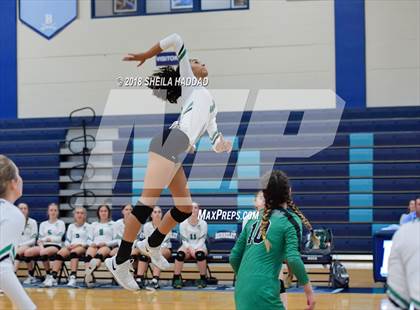 Thumbnail 3 in Tampa Catholic @ Berkeley Prep photogallery.