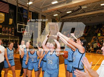 Thumbnail 2 in Cascade vs. Danville (IHSAA 3A Sectional Championship) photogallery.