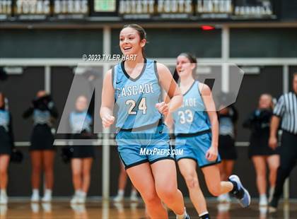 Thumbnail 3 in Cascade vs. Danville (IHSAA 3A Sectional Championship) photogallery.