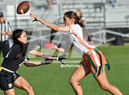 Thumbnail 3 in JV: Spruce Creek @ Pine Ridge photogallery.