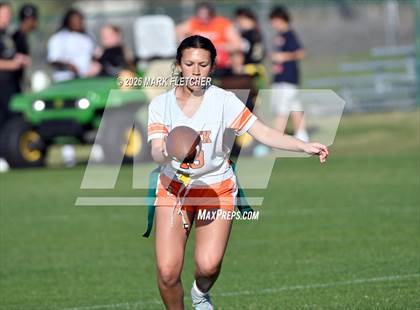 Thumbnail 1 in JV: Spruce Creek @ Pine Ridge photogallery.