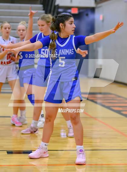 Thumbnail 2 in Greeley County vs. Las Animas photogallery.