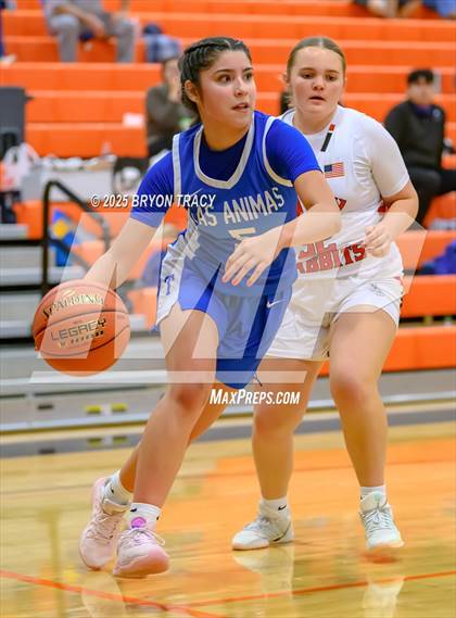 Thumbnail 1 in Greeley County vs. Las Animas photogallery.