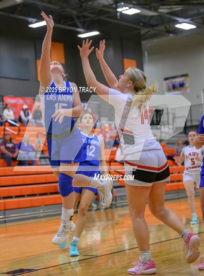 Thumbnail 1 in Greeley County vs. Las Animas photogallery.