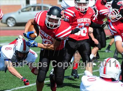 Thumbnail 2 in Foran @ Branford photogallery.