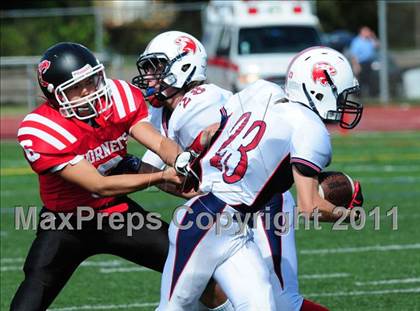 Thumbnail 3 in Foran @ Branford photogallery.