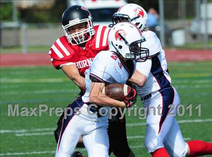 Thumbnail 2 in Foran @ Branford photogallery.
