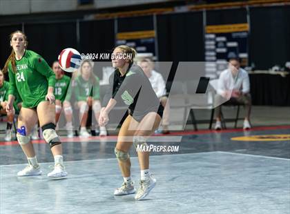 Thumbnail 1 in Musselman vs. Cabell Midland (WVSSAC Class AAAA Quarterfinal) photogallery.