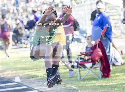 Thumbnail 2 in Vandebilt Catholic(Terrier Relays) photogallery.