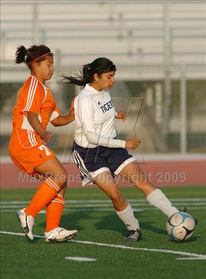 Thumbnail 3 in Woodland @ Inderkum photogallery.