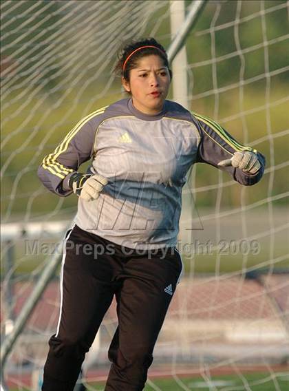 Thumbnail 1 in Woodland @ Inderkum photogallery.