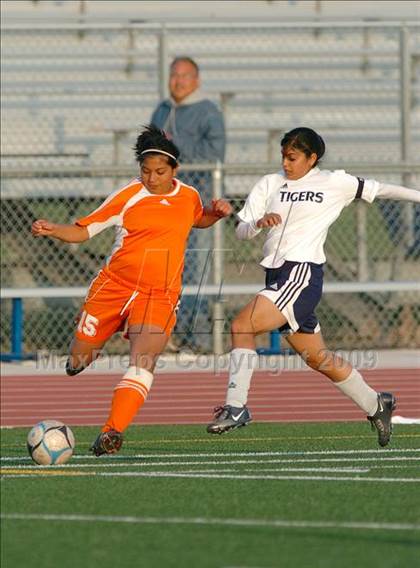 Thumbnail 1 in Woodland @ Inderkum photogallery.