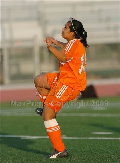 Thumbnail 1 in Woodland @ Inderkum photogallery.