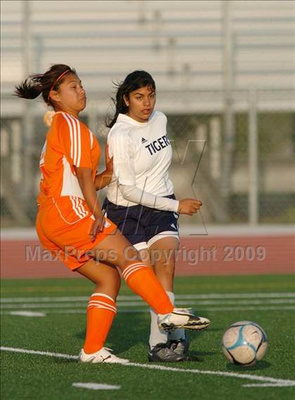 Thumbnail 1 in Woodland @ Inderkum photogallery.