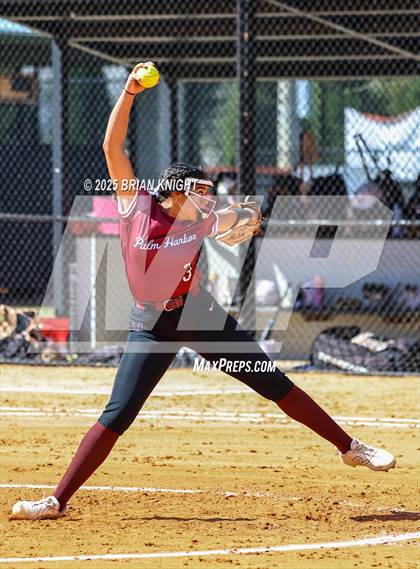 Thumbnail 3 in Palm Harbor University @ Lakeland photogallery.