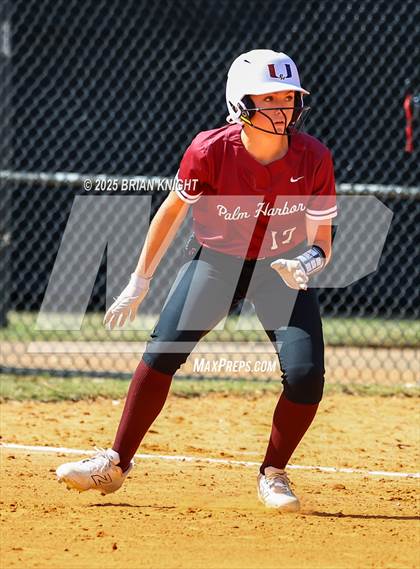 Thumbnail 2 in Palm Harbor University @ Lakeland photogallery.
