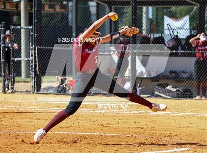 Thumbnail 2 in Palm Harbor University @ Lakeland photogallery.