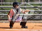Photo from the gallery "Palm Harbor University @ Lakeland"
