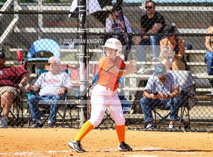 Thumbnail 3 in Palm Harbor University @ Lakeland photogallery.