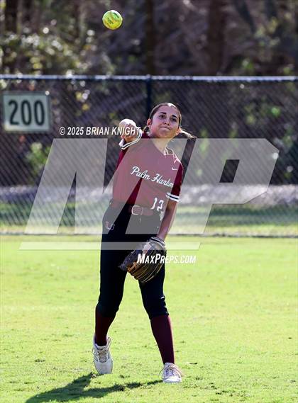 Thumbnail 2 in Palm Harbor University @ Lakeland photogallery.