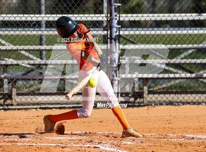 Thumbnail 1 in Palm Harbor University @ Lakeland photogallery.