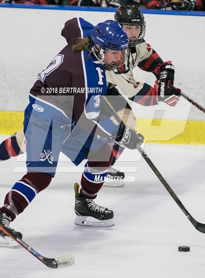 Thumbnail 2 in Williamsville East vs. Frontier/Lake Shore/Orchard Park (Section 6 Final) photogallery.
