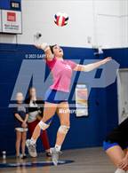 Photo from the gallery "Soddy Daisy @ Sale Creek"