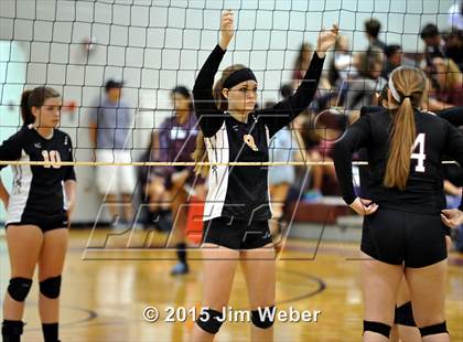 Thumbnail 2 in Zephyrhills @ Wiregrass Ranch photogallery.