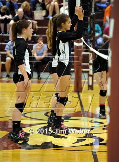 Thumbnail 2 in Zephyrhills @ Wiregrass Ranch photogallery.