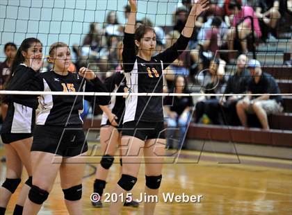 Thumbnail 1 in Zephyrhills @ Wiregrass Ranch photogallery.