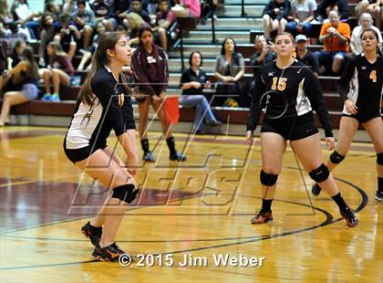Thumbnail 3 in Zephyrhills @ Wiregrass Ranch photogallery.