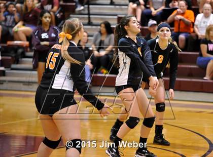 Thumbnail 3 in Zephyrhills @ Wiregrass Ranch photogallery.