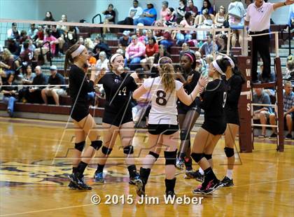 Thumbnail 3 in Zephyrhills @ Wiregrass Ranch photogallery.
