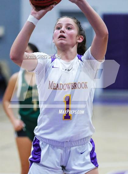 Thumbnail 2 in Trinity Catholic @ Meadowbrook Academy photogallery.