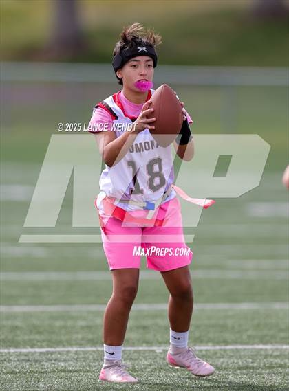 Thumbnail 1 in Pomona @ Wheat Ridge photogallery.