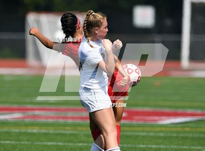 Thumbnail 3 in Arlington @ Somers photogallery.