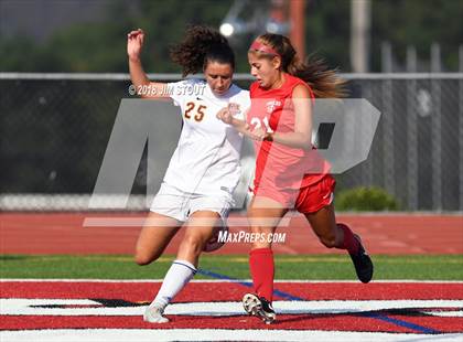 Thumbnail 2 in Arlington @ Somers photogallery.