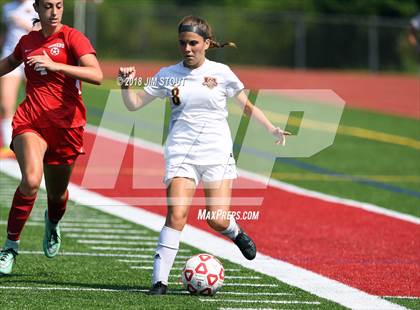 Thumbnail 1 in Arlington @ Somers photogallery.