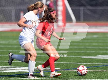 Thumbnail 2 in Arlington @ Somers photogallery.