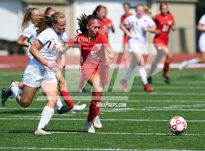 Thumbnail 1 in Arlington @ Somers photogallery.