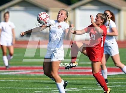 Thumbnail 1 in Arlington @ Somers photogallery.