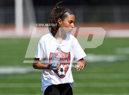 Thumbnail 2 in Arlington @ Somers photogallery.