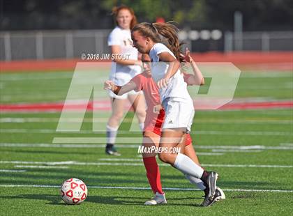 Thumbnail 2 in Arlington @ Somers photogallery.