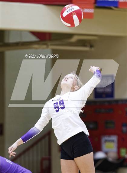 Thumbnail 1 in Leo @ Fort Wayne North Side photogallery.