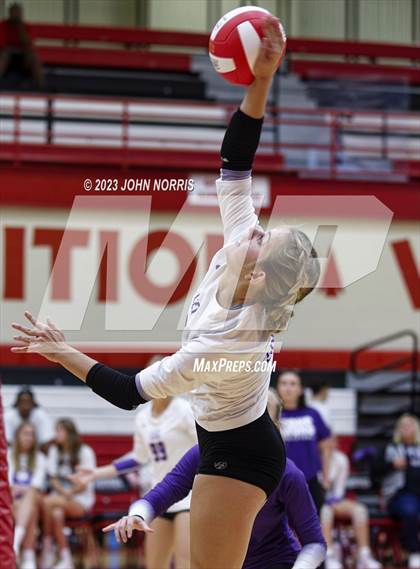 Thumbnail 3 in Leo @ Fort Wayne North Side photogallery.