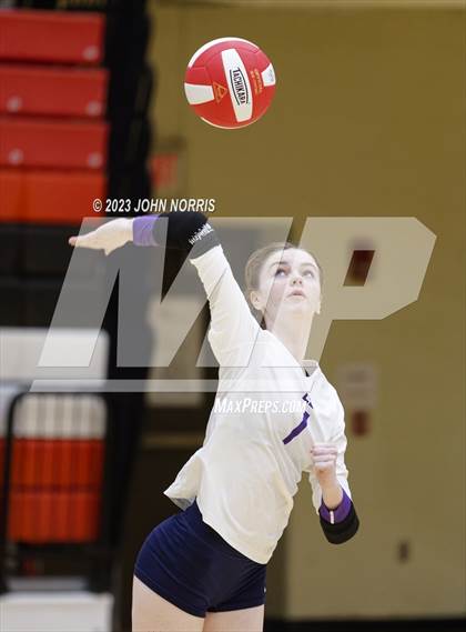 Thumbnail 2 in Leo @ Fort Wayne North Side photogallery.