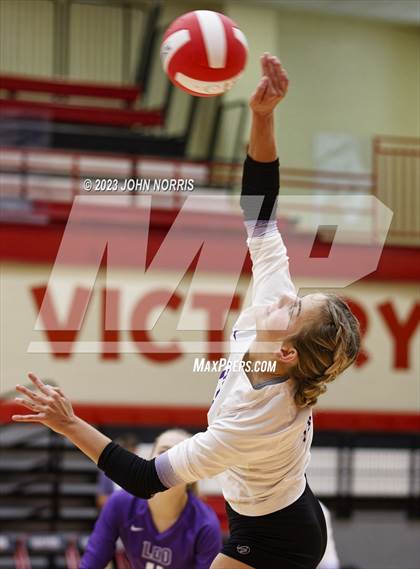 Thumbnail 1 in Leo @ Fort Wayne North Side photogallery.