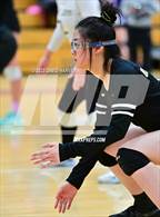 Photo from the gallery "Bear Creek @ Arvada West"